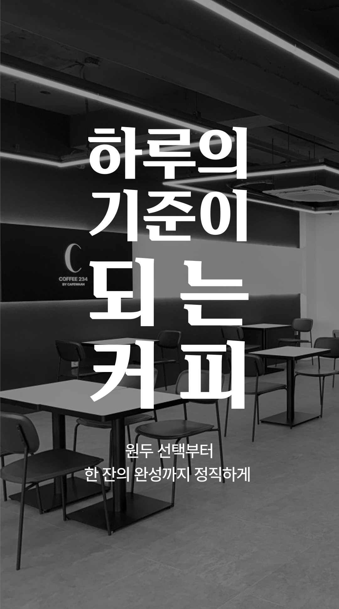 커피234
